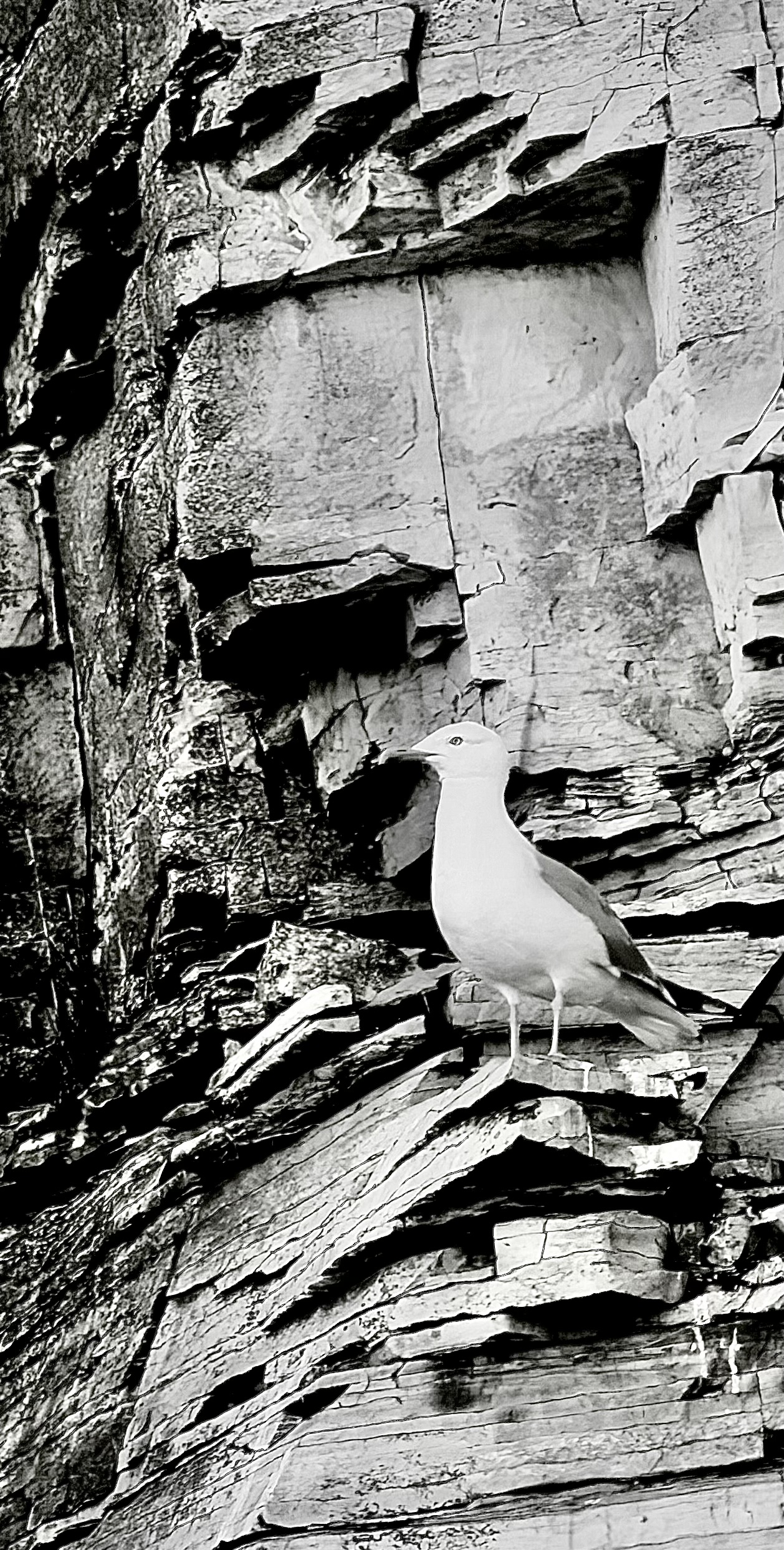 Door County shoreline